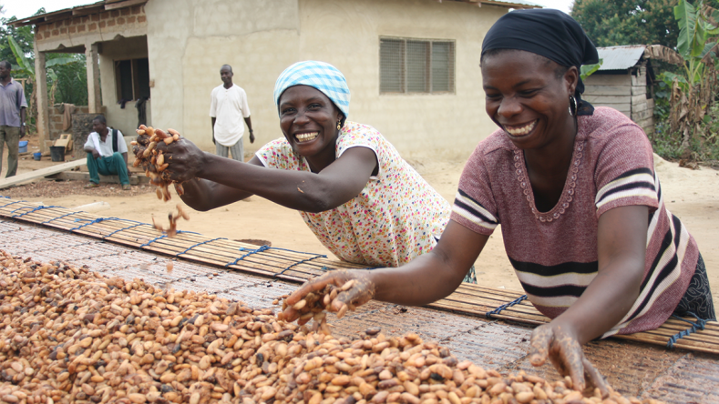  Kuapa Kokoo, a cocoa famers' cooperative in Ghana