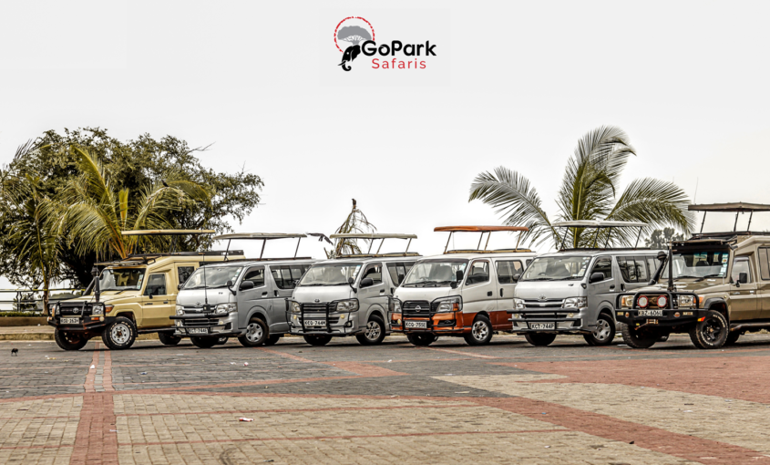 GoPark Safaris Van Fleet